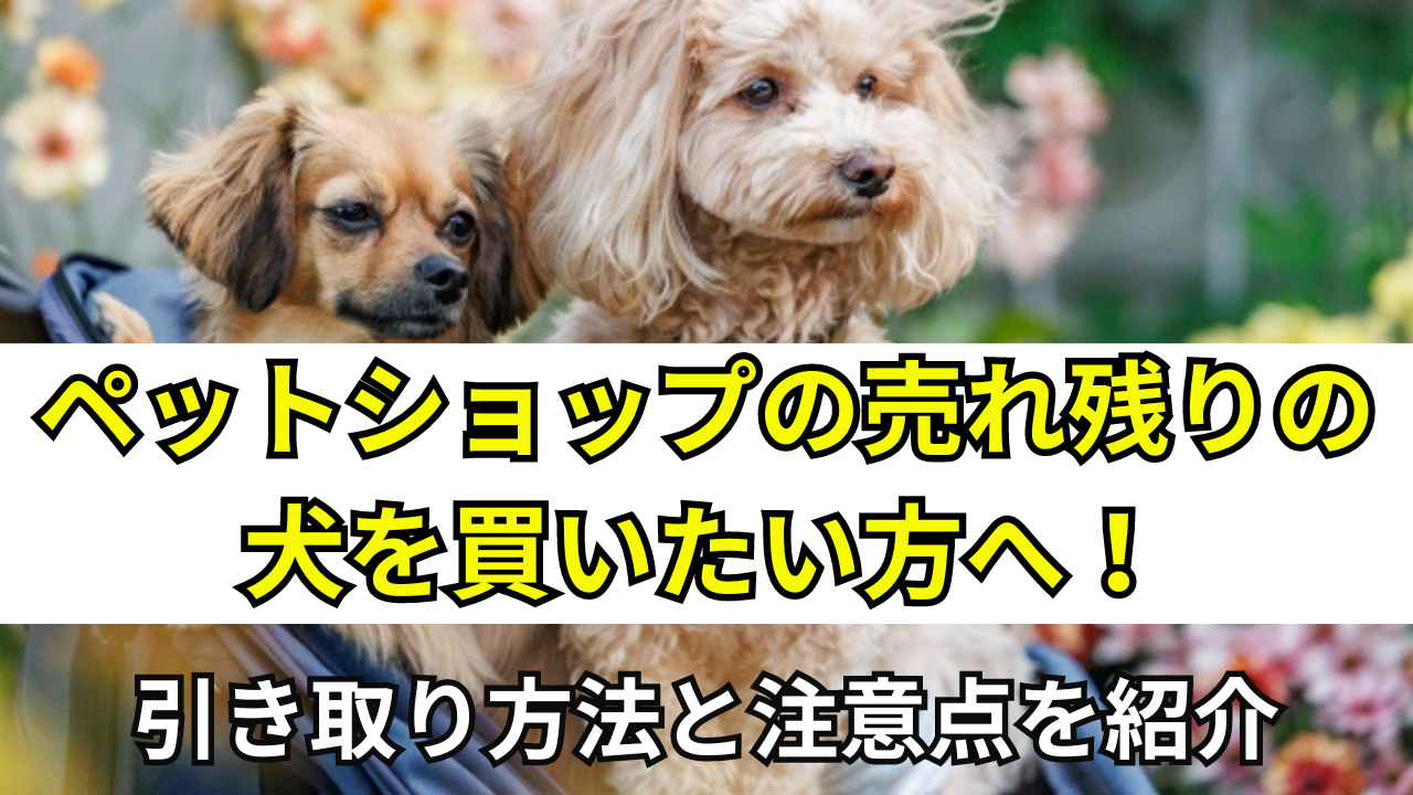 ペット ショップ 売れ残り 引き取り たい