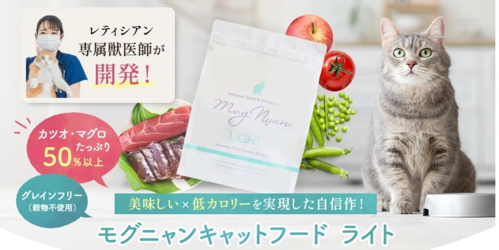 公式サイトの申し込み方法と支払い方法を解説
